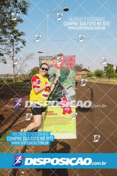 Eco Corrida 90k Londrina