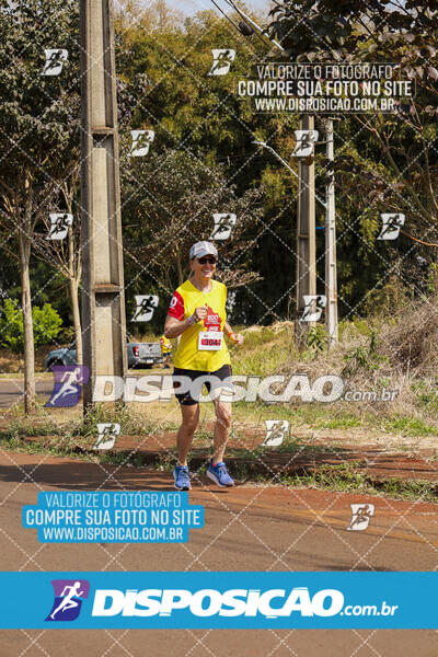 Eco Corrida 90k Londrina