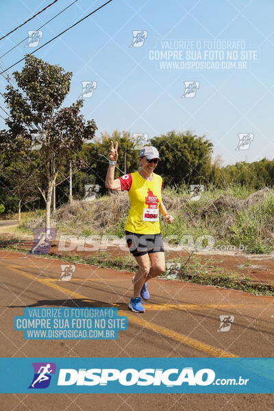 Eco Corrida 90k Londrina