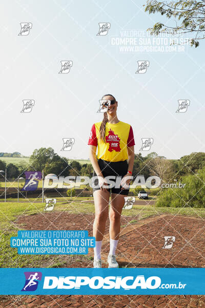 Eco Corrida 90k Londrina