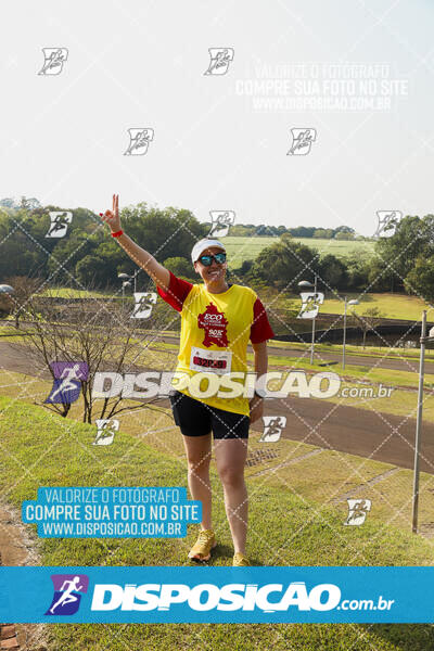 Eco Corrida 90k Londrina