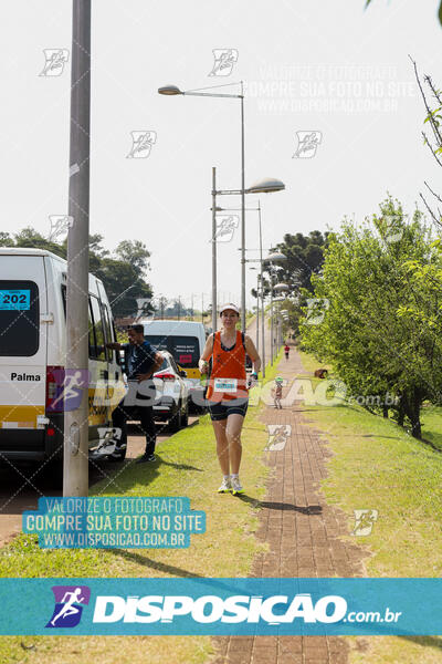 Eco Corrida 90k Londrina