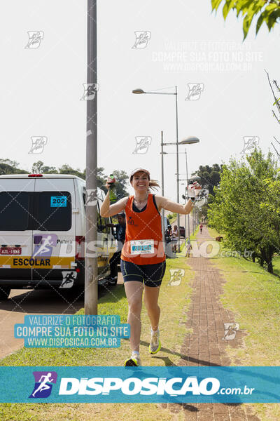 Eco Corrida 90k Londrina