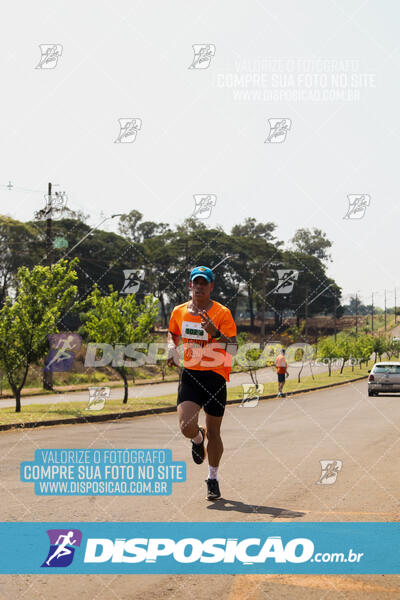 Eco Corrida 90k Londrina