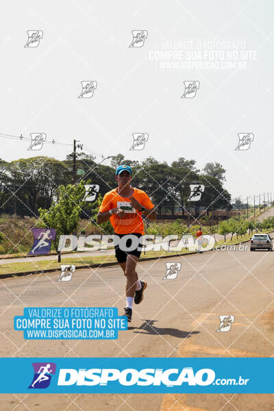 Eco Corrida 90k Londrina