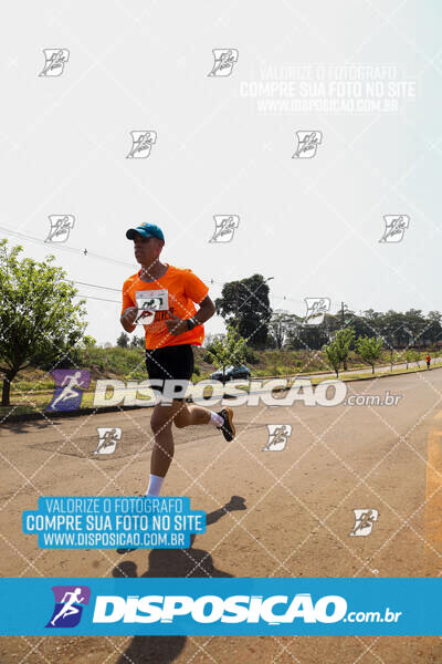 Eco Corrida 90k Londrina