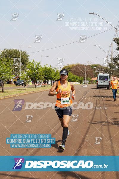 Eco Corrida 90k Londrina