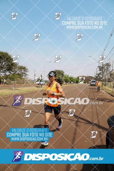 Eco Corrida 90k Londrina