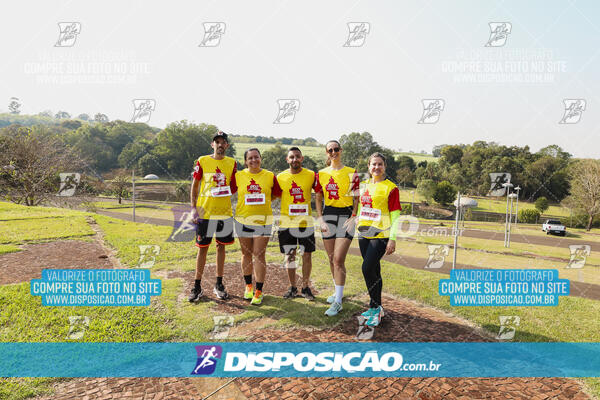 Eco Corrida 90k Londrina