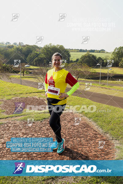 Eco Corrida 90k Londrina