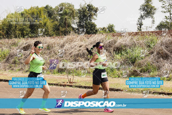 Eco Corrida 90k Londrina