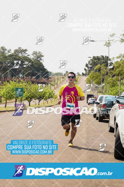 Eco Corrida 90k Londrina