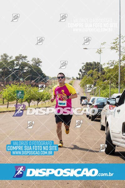 Eco Corrida 90k Londrina