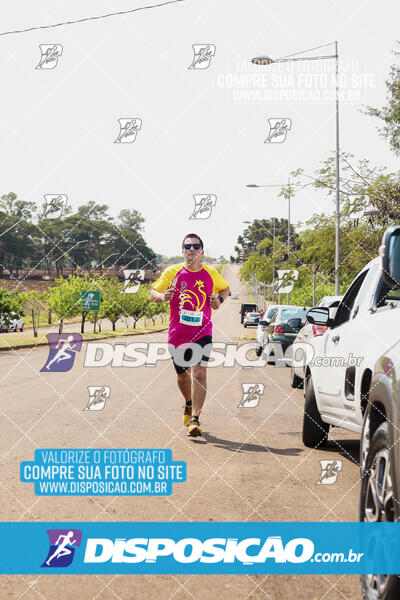 Eco Corrida 90k Londrina