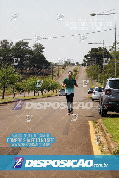 Eco Corrida 90k Londrina