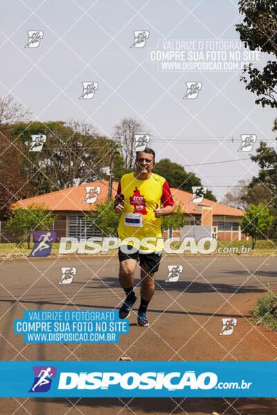 Eco Corrida 90k Londrina