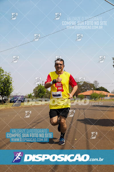 Eco Corrida 90k Londrina