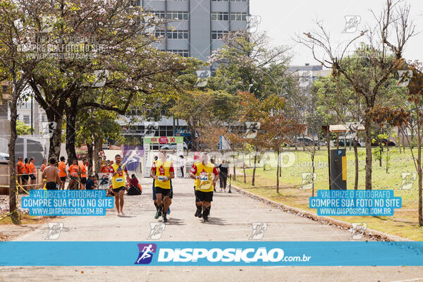 Eco Corrida 90k Londrina