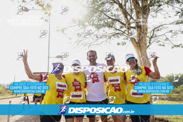 Eco Corrida 90k Londrina