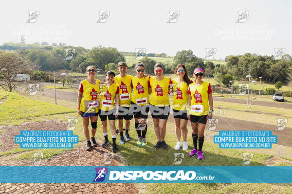 Eco Corrida 90k Londrina