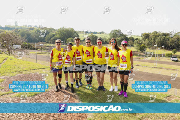 Eco Corrida 90k Londrina