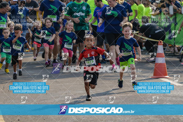 Missionária Night Run - 2ª Edição