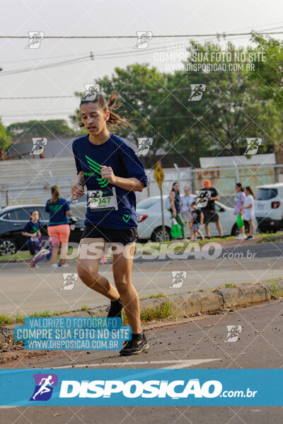 Missionária Night Run - 2ª Edição