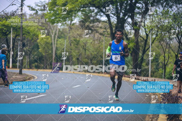 Circuito de Corridas Angeloni 2024 - Etapa Londrina 