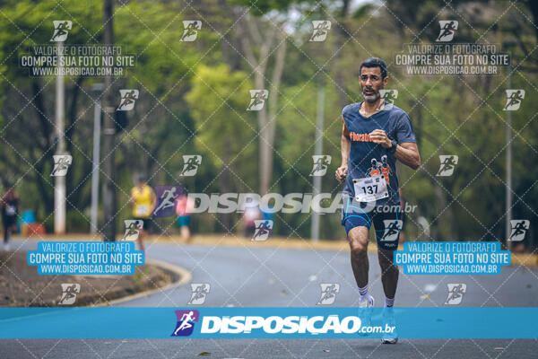 Circuito de Corridas Angeloni 2024 - Etapa Londrina 