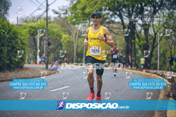 Circuito de Corridas Angeloni 2024 - Etapa Londrina 