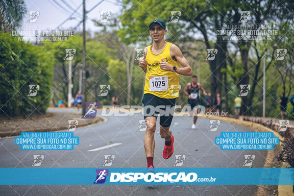 Circuito de Corridas Angeloni 2024 - Etapa Londrina 