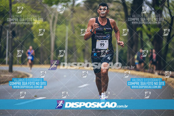 Circuito de Corridas Angeloni 2024 - Etapa Londrina 