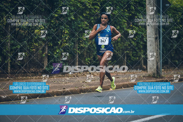 Circuito de Corridas Angeloni 2024 - Etapa Londrina 