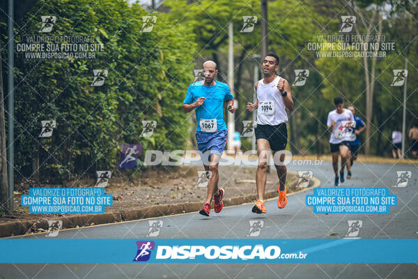 Circuito de Corridas Angeloni 2024 - Etapa Londrina 