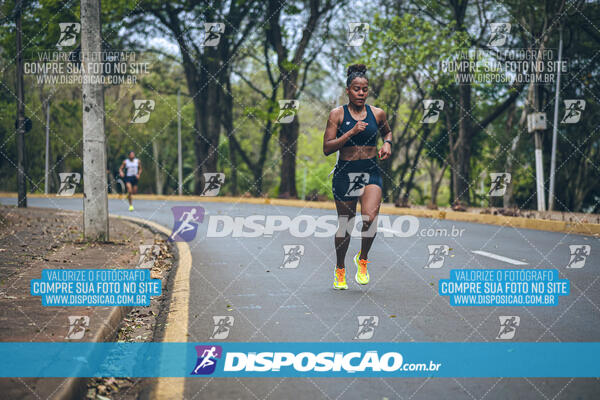 Circuito de Corridas Angeloni 2024 - Etapa Londrina 