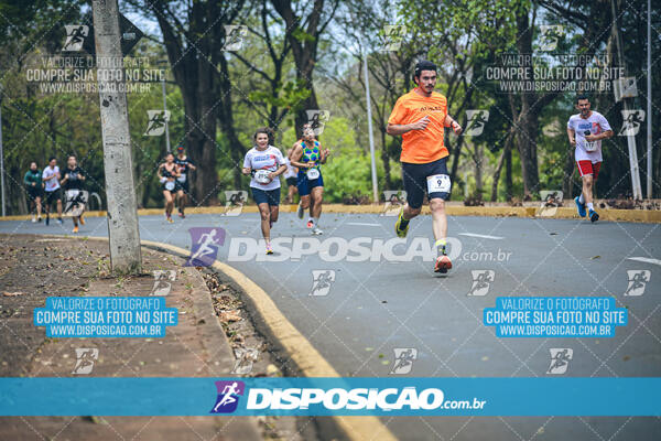 Circuito de Corridas Angeloni 2024 - Etapa Londrina 