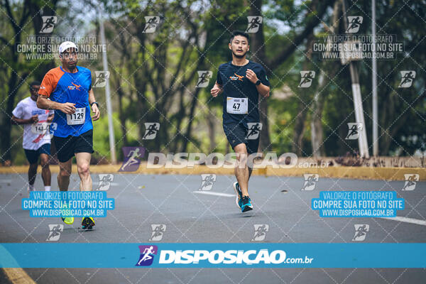 Circuito de Corridas Angeloni 2024 - Etapa Londrina 