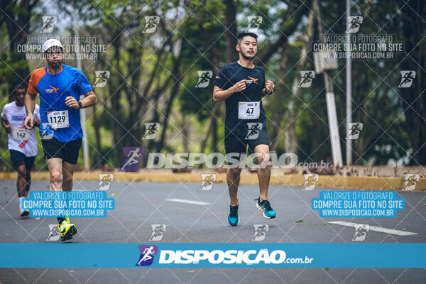 Circuito de Corridas Angeloni 2024 - Etapa Londrina 