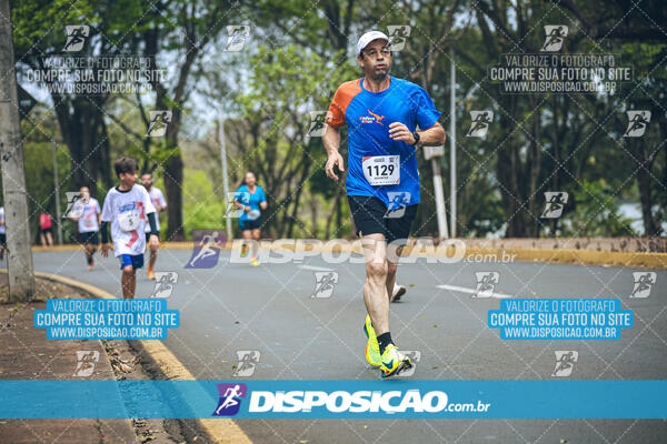 Circuito de Corridas Angeloni 2024 - Etapa Londrina 