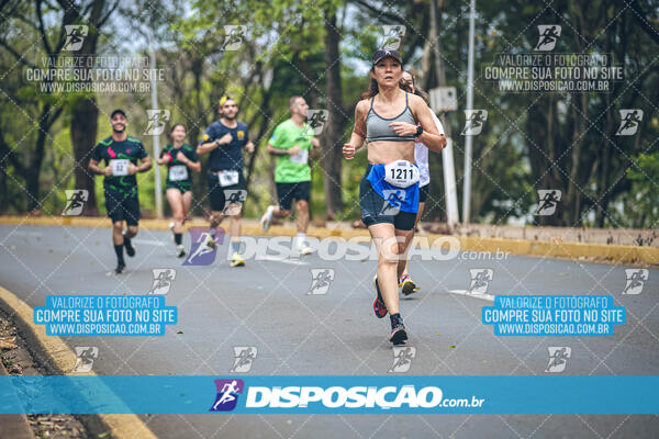 Circuito de Corridas Angeloni 2024 - Etapa Londrina 