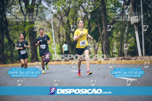 Circuito de Corridas Angeloni 2024 - Etapa Londrina 