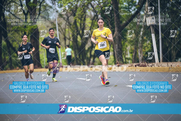 Circuito de Corridas Angeloni 2024 - Etapa Londrina 