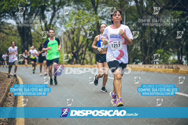 Circuito de Corridas Angeloni 2024 - Etapa Londrina 