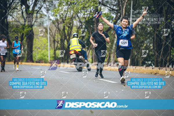 Circuito de Corridas Angeloni 2024 - Etapa Londrina 