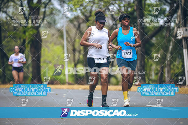 Circuito de Corridas Angeloni 2024 - Etapa Londrina 