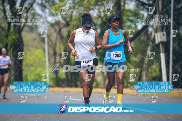 Circuito de Corridas Angeloni 2024 - Etapa Londrina 