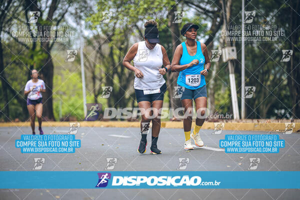 Circuito de Corridas Angeloni 2024 - Etapa Londrina 