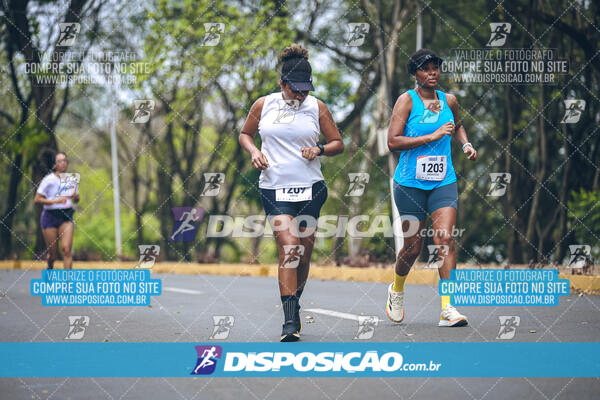 Circuito de Corridas Angeloni 2024 - Etapa Londrina 