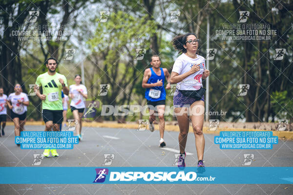 Circuito de Corridas Angeloni 2024 - Etapa Londrina 