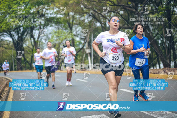 Circuito de Corridas Angeloni 2024 - Etapa Londrina 